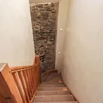 Squirrel *