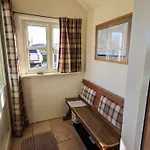 Squirrel * 凯西克